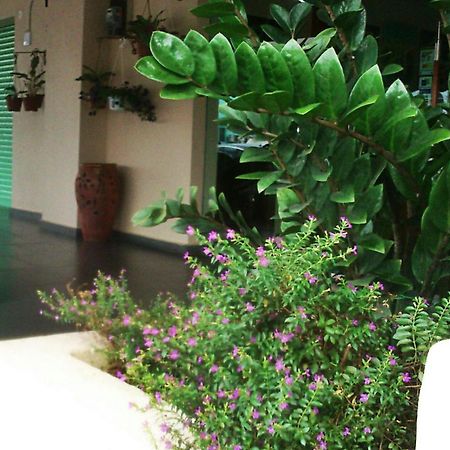 The Fern Lodge Hotel Skudai Dış mekan fotoğraf